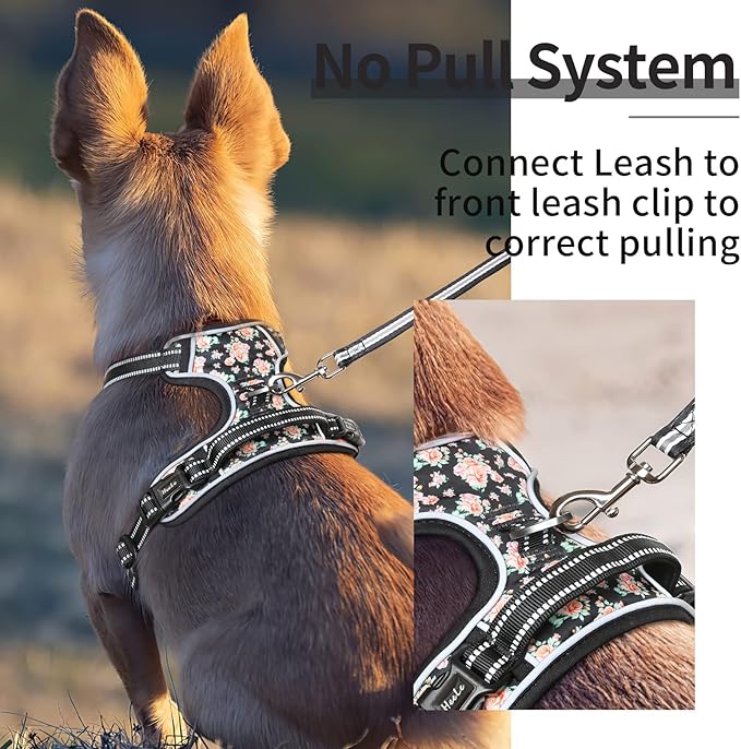 HEELE Dog Harness Harness for Small Dogs No Pull Dog Vest Harness for Small Dog with Soft Padded Handle Reflective for Outdoor Training, Flower-Black, XS
