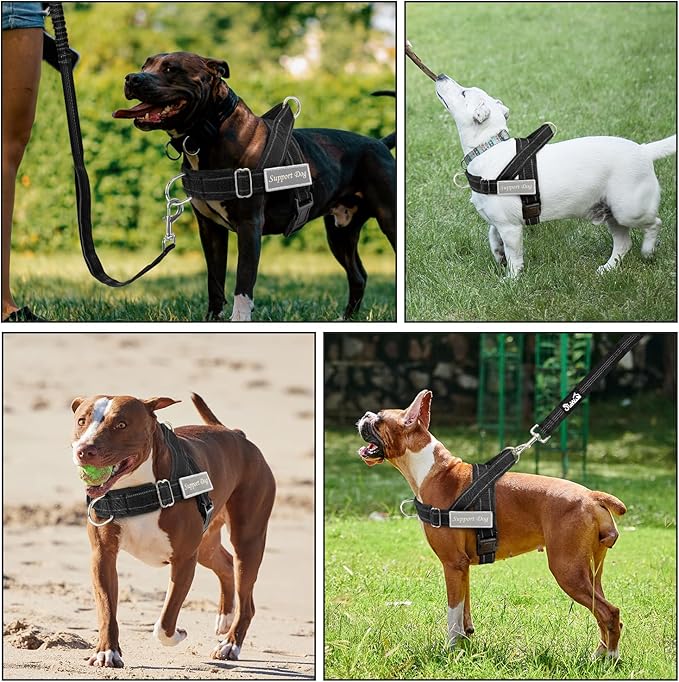 SlowTon No Pull Dog Harness - Heavy Duty Dog Harness and Leash Set for Medium Large Dogs, Reflective Tactical Harness with Soft Padded and Front Clip for Easy Walk and Training (Black L)