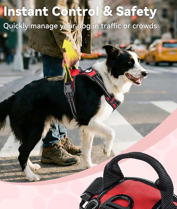 Joytale No Pull Dog Harness for Large Dogs, Reflective Pet Vest with 2 Leash Clips, Adjustable Soft Padded Harnesses with Easy Control Handle for Training and Walking, Red, L