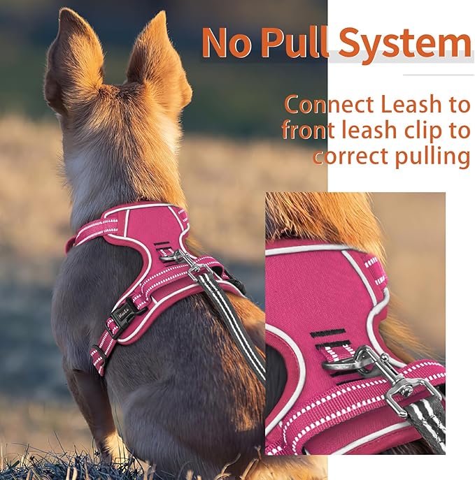 HEELE Dog Harness for Small Dogs No Pull Dog Vest Harness for Small Dog with Soft Padded Handle Reflective for Outdoor Training, Rose(Matching Trim), S