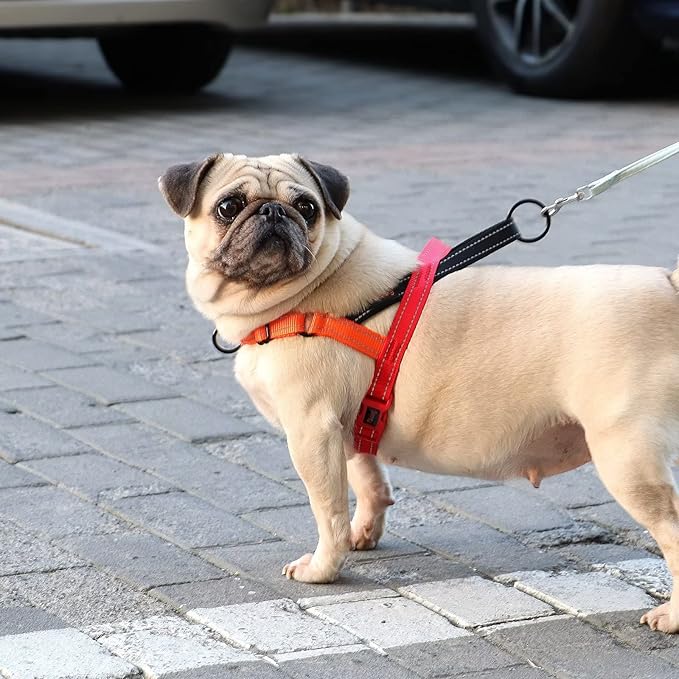 Didog No Pull Dog Harness with Soft Padded Handle, Quick Fit & Lightweight Adjustable Vest Harness, Easy for Training Walking for Small & Medium and Large Dogs(Red,S)