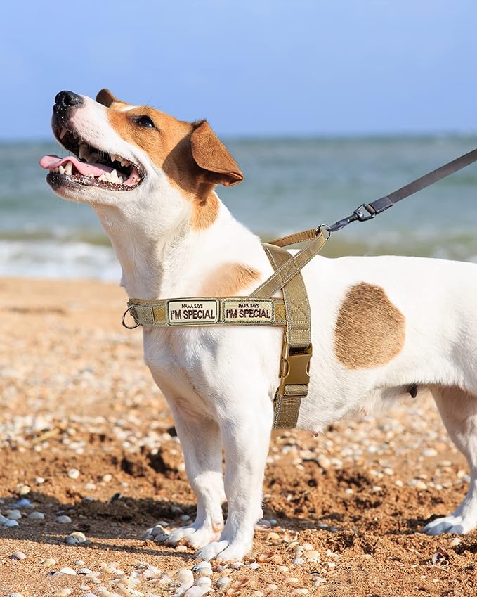 No Pull Dog Harness for Medium Large Dogs, Escape Proof Adjustable Harness Brown Camo, L