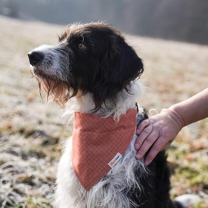 Pettsie Dog Bandana Collar with Matching Friendship Bracelet – Adjustable, Durable Hemp & Soft Cotton, Stylish & Comfortable Pet Bandana, Designed for Dog Lovers, Medium, Orange