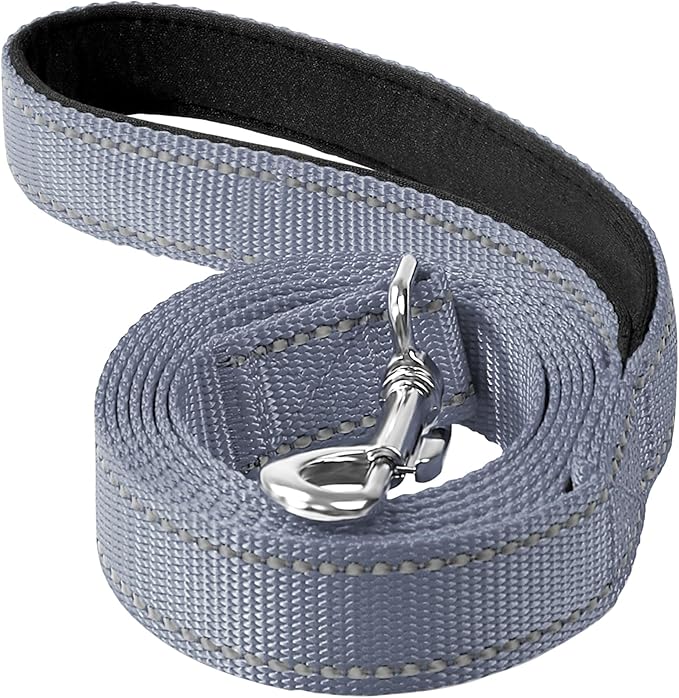 Reflective Dog Leash 4ft Soft Padded Handle Nylon Lead for Small & Medium Dogs, Durable Walking Training Leash for Night Safety (Gray,1Inch Wide)