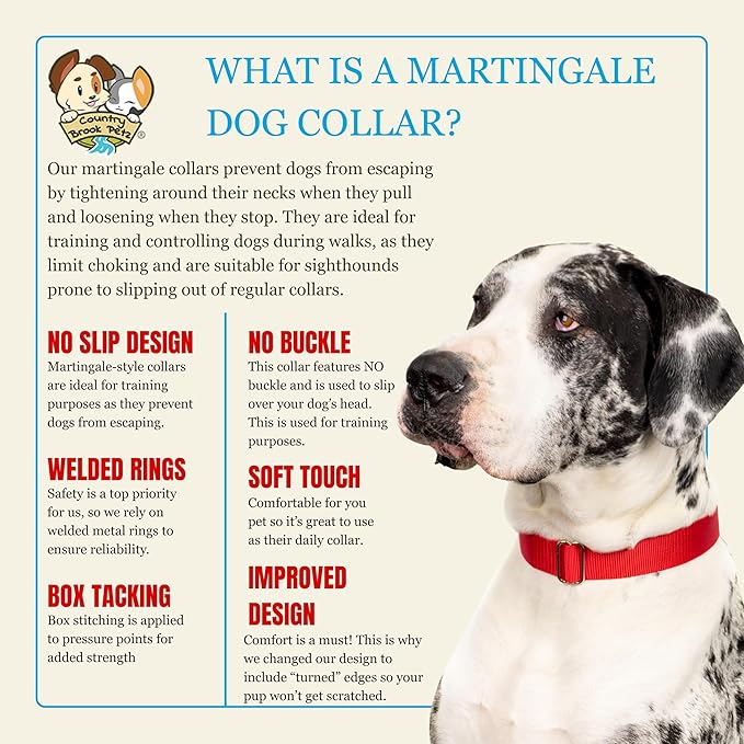 Country Brook Petz - Martingale Dog Collar - Heavy-Duty Training Collar with No Buckle - Service Dog Collar for All Pups - 10+ Warm Colors (Red, 1 Inch, Medium)