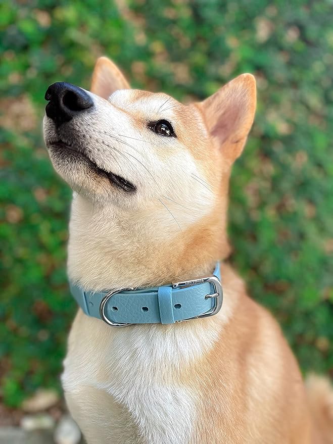 Tuff Pupper Classic Heavy Duty Dog Collar | 10x Stronger Than Leather | 100% Waterproof & Odor Proof Dog Collar | Tough Rust-Proof All Metal Hardware