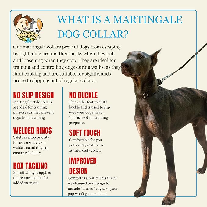 Country Brook Petz - Martingale Dog Collar - Heavy-Duty Training Collar with No Buckle - Service Dog Collar for All Pups - 10+ Warm Colors (Brown, 3/4 Inch, Small)