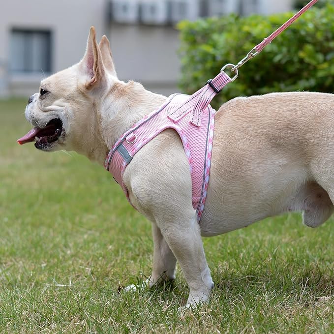 Mercano Soft Mesh Dog Harness and Leash Set, No-Chock Step-in Reflective Breathable Lightweight Easy Walk Vest Harnesses with Safety Buckle for Small Dogs, Cats (Pink, L)