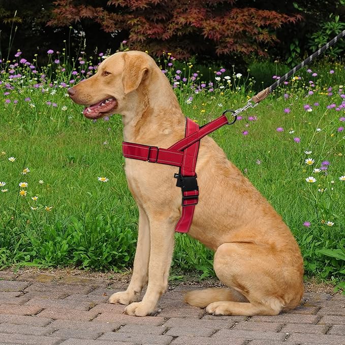 Red No Pull Dog Harness for Small Medium Large Sized Dog, Reflective Escape Proof Adjustable Dog Harnesses with 2 Patch, S