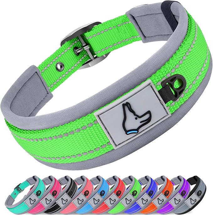 Joytale Dog Collar for Small Dogs, Neoprene Padded and Adjustable, Reflective Wide Heavy Duty Pet Collars with Durable Metal Belt Buckle for Walking, Green, S