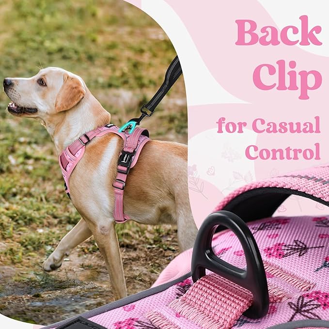rabbitgoo Dog Harness Small Sized, No Pull Pet Harness with 3 Buckles, Adjustable Soft Padded Vest with Control Handle, Walking Reflective Pet Vest for Small Dogs, Floral Pink, S