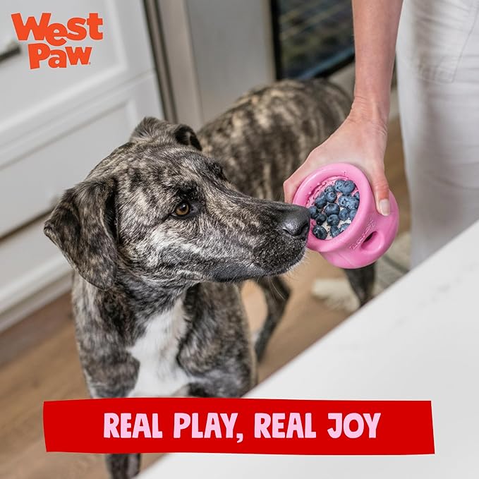 WEST PAW Zogoflex Toppl Interactive Treat Dispensing Puzzle Dog Toy for Mental Stimulation & Enrichment-Holds Kibble & Treats-Lickable, Freezable & Dishwasher Safe-Made in USA-XL-Candy Swirl