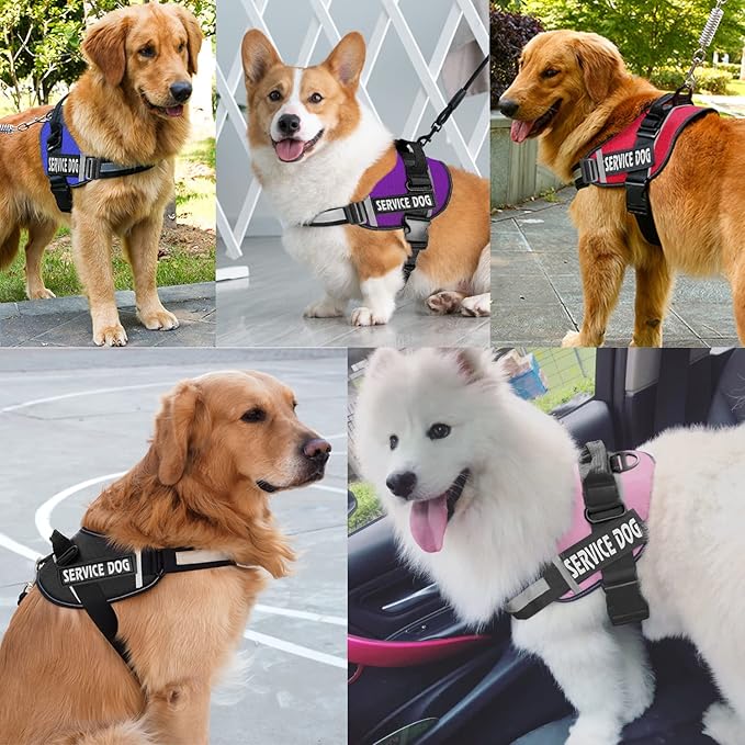 JSXD Dog Harness,No-Pull Service Dog Harness with Handle Adjustable Outdoor Pet Dog Vest 3M Reflective Nylon Material Vest for Breeds,Easy Control for Small Medium Large Dogs (XXL, Black)
