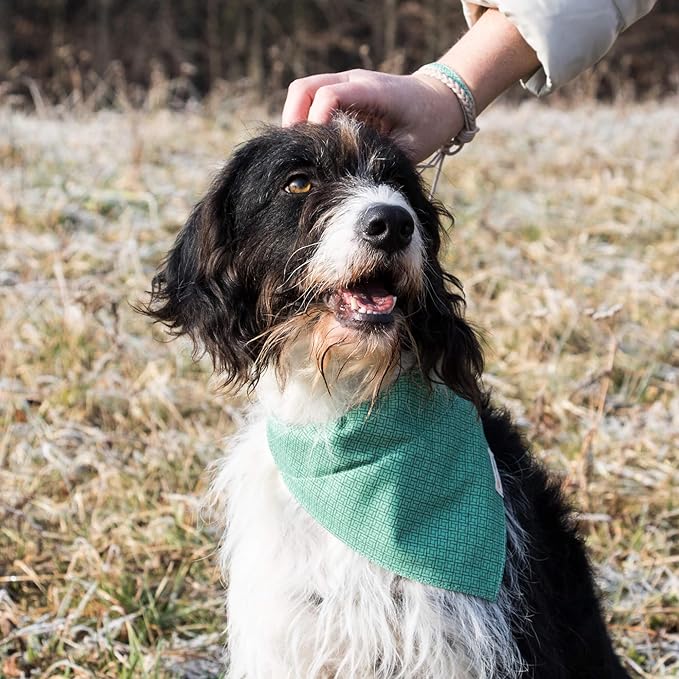 Pettsie Dog Bandana Collar with Matching Friendship Bracelet – Adjustable, Durable Hemp & Soft Cotton, Stylish & Comfortable Pet Bandana, Designed for Dog Lovers, Large, Green