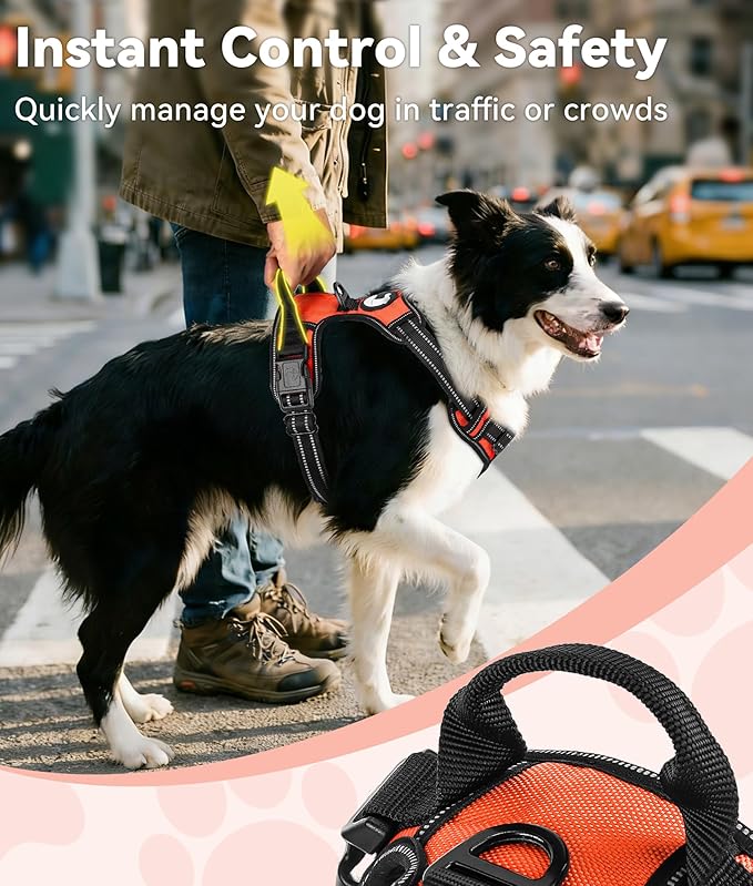 Joytale No Pull Dog Harness for Small Dogs, Reflective Pet Vest with Front Clip, Adjustable Soft Padded Harnesses with Easy Control Handle for Training and Walking, Orange, S
