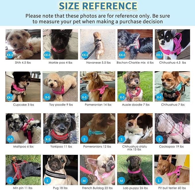 SlowTon No Pull Small Dog Harness and Leash Set, Puppy Soft Vest Harness Neck & Chest Adjustable, Reflective Lightweight Harness & Anti-Twist Pet Lead Combo for Small Medium Dogs(FU,L)