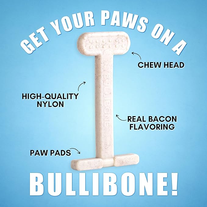Bullibone Nylon Dog Chew Toy for Aggressive Chewers - Dental Hygiene Bone with Bacon Flavor, Durable Tough Chew Toys for Large Dogs, Indestructible Dog Bone - 2 Pack