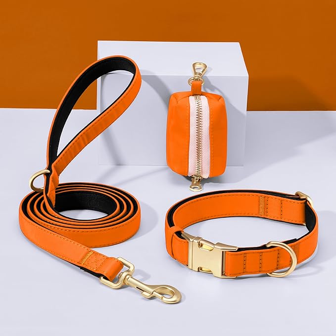 Didog Soft Padded Dog Collar for Large Dogs, Colorful and Durable Pet Collar with Quick Release Buckle, Light and Breathable for Daily Walking, Orange, L