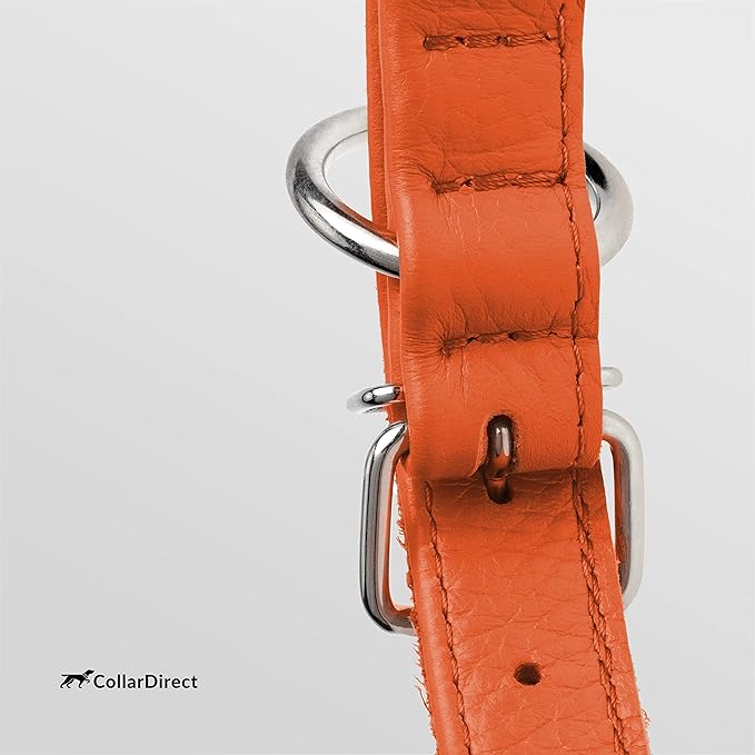CollarDirect Rolled Leather Dog Collar, Soft Padded Round Puppy Collar, Handmade Genuine Leather Collar Dog Small Large Cat Collars 13 Colors (6-7 Inch, Orange Textured)