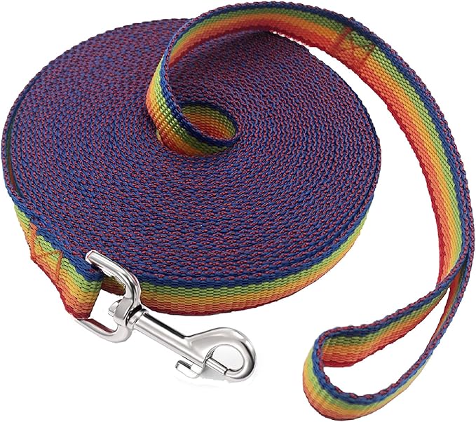 SALO Nylon Training Dog Leash for Small Medium Large Dogs, 1 Inch Wide, 20ft 30ft 40ft 50ft Long Leash Dog/Puppy Lead for Obedience Recall Training, Camping, or Backyard