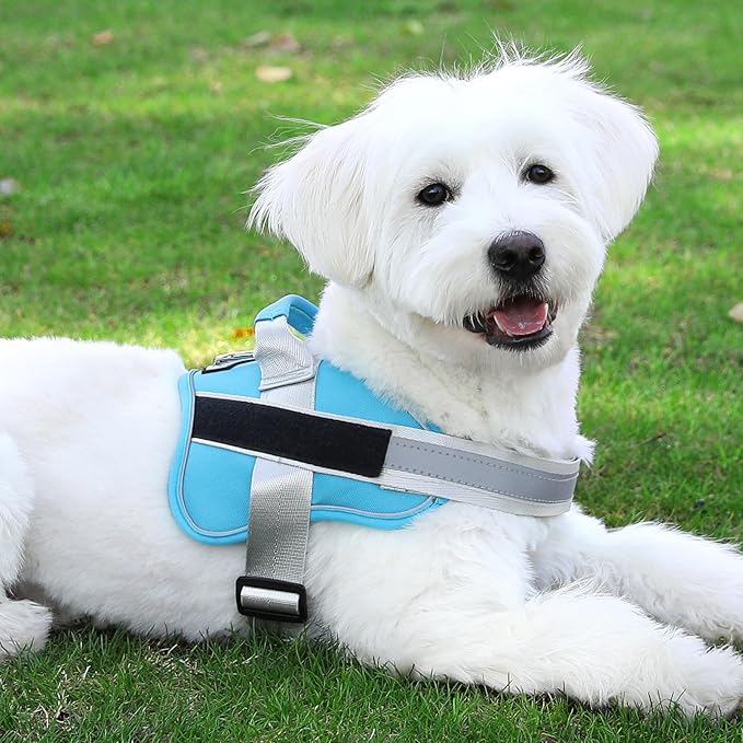 Bolux Dog Harness, No-Pull Reflective Dog Vest, Breathable Adjustable Pet Harness with Handle for Outdoor Walking - No More Pulling, Tugging or Choking (OceanicBlue, X-Large (Pack of 1))