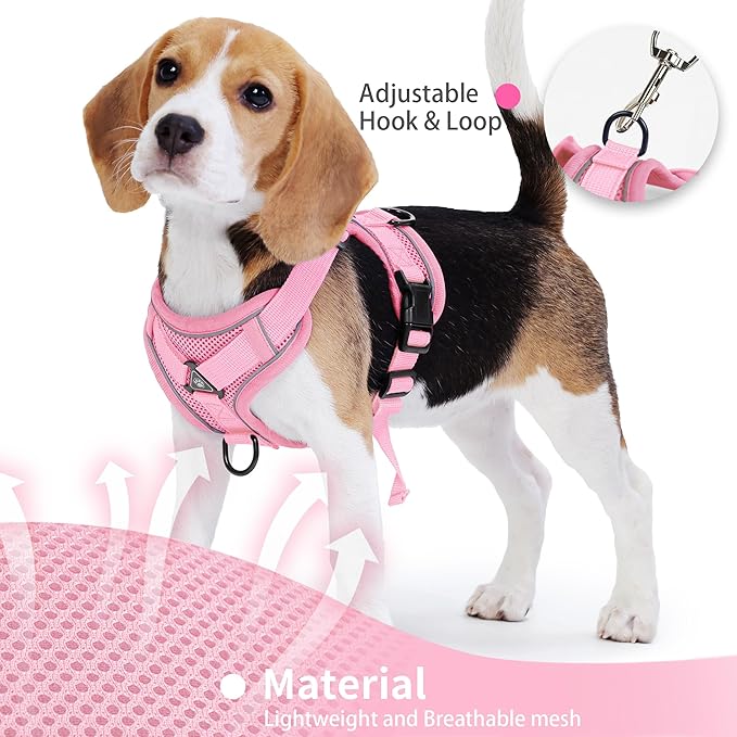 No Pull Dog Harness with Leash Set for Small Sized Dog, Reflective Adjustable No Choke Front Clip Cat Vest Harness with Breathable Mesh, Comfortable Soft Padded Pet Vest, Pink S