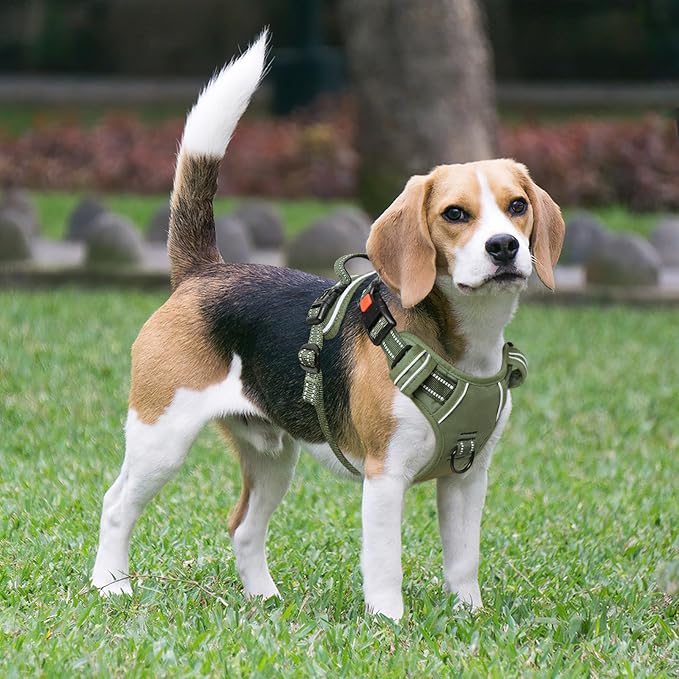 Timos Dog Harness Medium Sized, No Pull Pet Harness with Neck Lockable Snap,No Choke Front Clip Dog Reflective Vest,Adjustable Metal Rings 3 Buckles,Easy Control Handle for Medium Dogs Green M