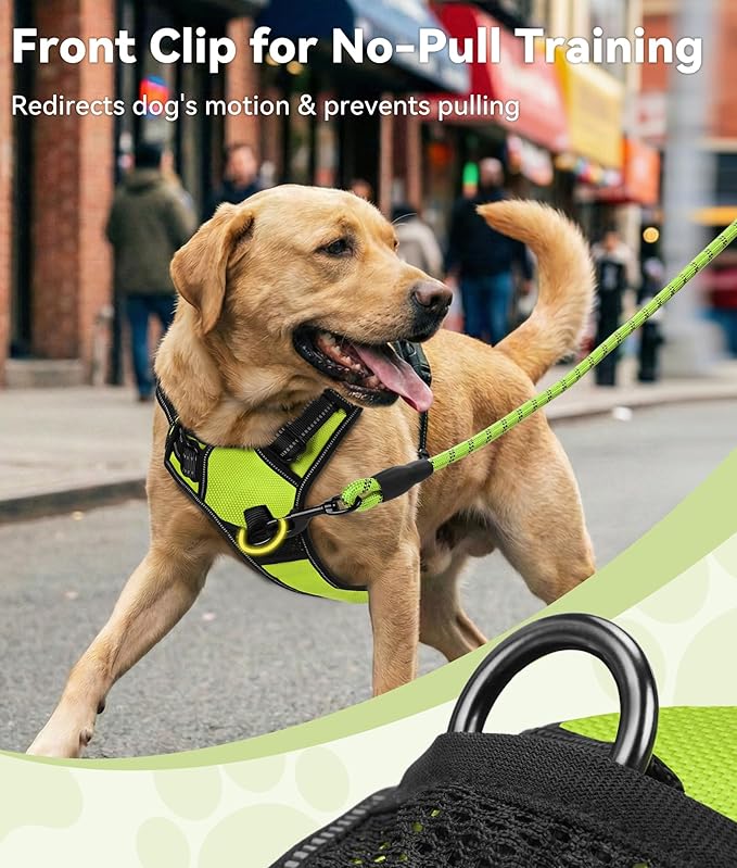 Joytale No Pull Dog Harness for Large Dogs, Reflective Pet Vest with Front Clip, Adjustable Soft Padded Harnesses with Easy Control Handle for Training and Walking, Green, L