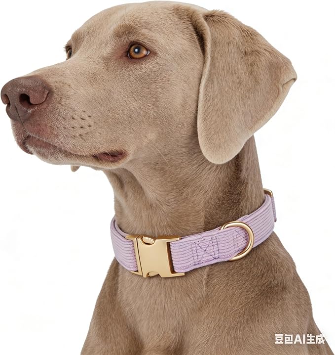 Soft Corduroy Fibric Dog Collar with High Grade Metal Buckle, for Large Dogs.(Purple,Large:17-26")
