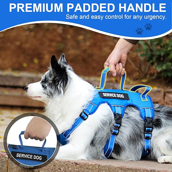 Escape Proof Dog Harness for Large Medium Sized Dogs Six Point Adjustable, Service Dog Vest Harness and Leash Set, No Pull Dogs Harnesses with Handle, XL Dog Harnesses for Walking(Blue, L)
