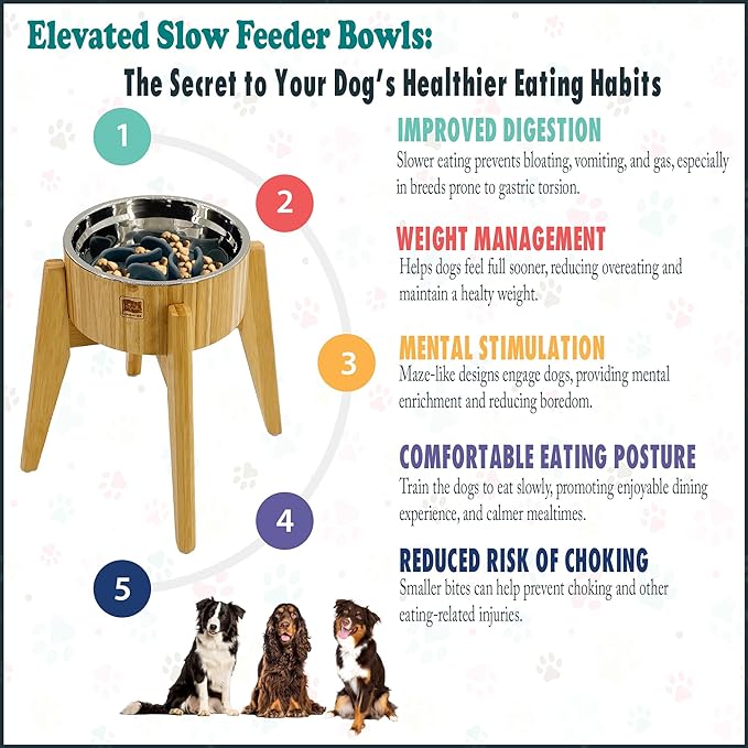 Dog Bowl Slow Feeder - 12-inch Tall, Elevated, Raised Single Food Station with Stand and Slow Feeder Insert, Suitable for Treats, Wet/Dry Pet Foods