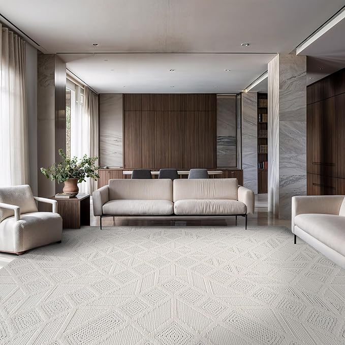 Modern Micro Loop Indoor Area Rugs for Living Room Bedroom Kitchen Geometric Square White 5x7 Luxury Durable Low and High Pile Non-Shedding Stain Resistant Soft Area Carpet 5 x 7