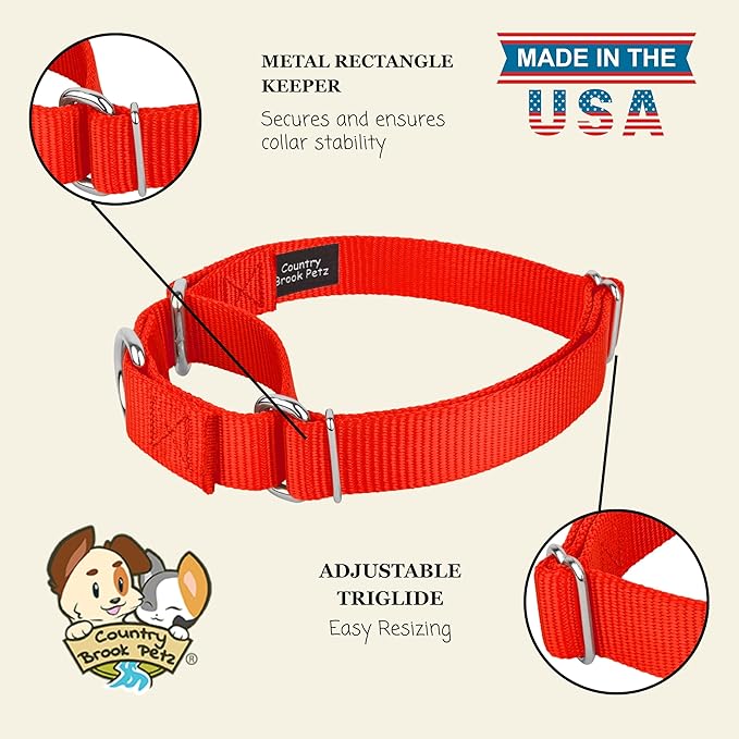 Country Brook Petz - Martingale Dog Collar - Heavy-Duty Training Collar with No Buckle - Service Dog Collar for All Pups - 10+ Warm Colors (Hot Orange, 1 Inch, Medium)