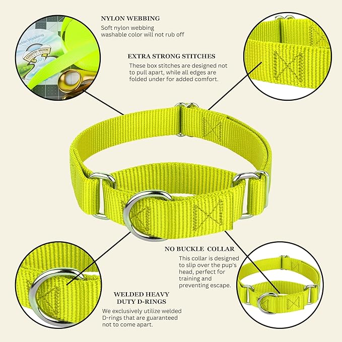Country Brook Petz - Martingale Dog Collar - Heavy-Duty Training Collar with No Buckle - Service Dog Collar for All Pups - 10+ Warm Colors (Hot Yellow, 5/8 Inch, Extra Small)
