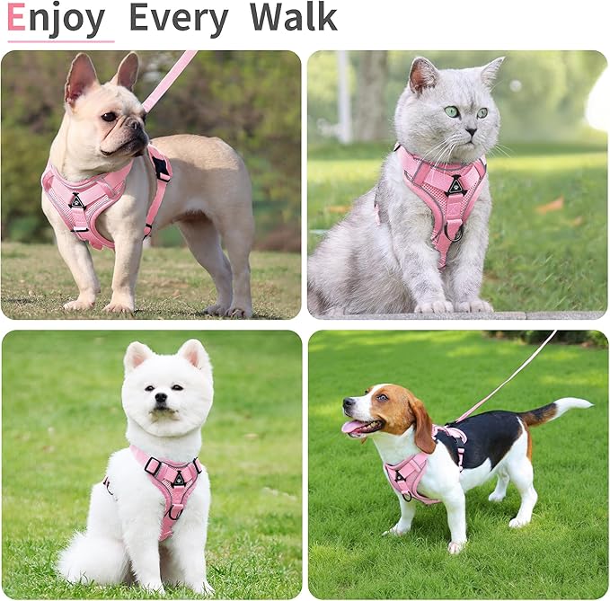 No Pull Dog Harness with Leash Set for Small Sized Dog, Reflective Adjustable No Choke Front Clip Cat Vest Harness with Breathable Mesh, Comfortable Soft Padded Pet Vest, Pink L