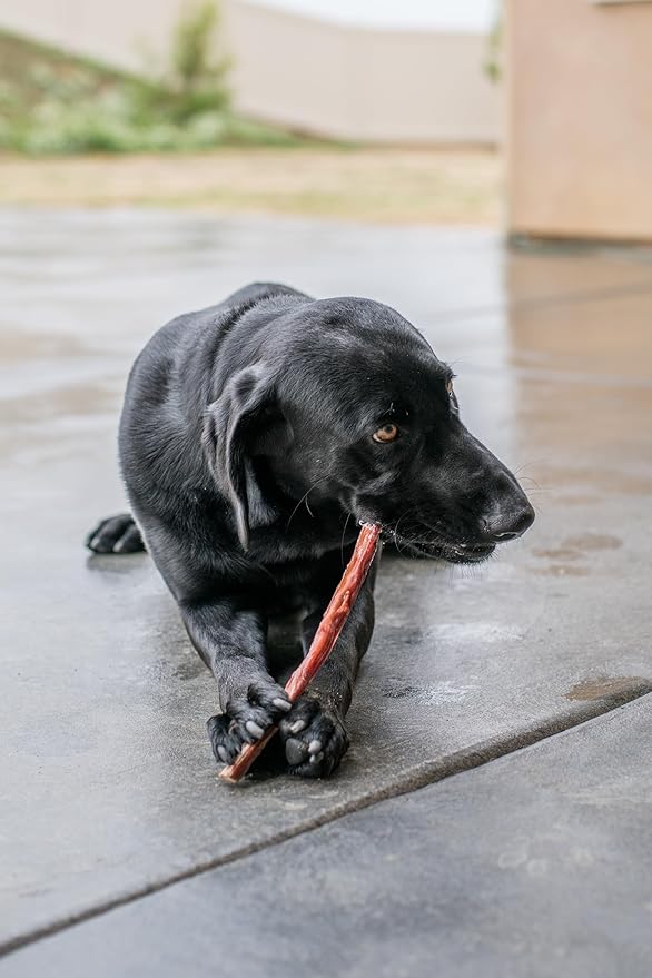 GigaBite Single Ingredient All Natural Free Range Bully Treats and Chews - Bully Sticks/Bladder Sticks/Beef Esophagus by Best Pet Supplies - Esophagus Sticks (6 Inch), Pack of 40