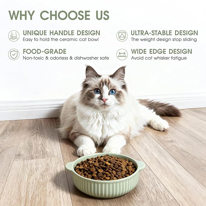Cat Food Bowl with Handle, 6 inch Ceramic Cat Food and Water Feeder Set, Modern Vertical Texture Design, Kitten Bowls for Indoor Cats and Small Dogs, Microwave Dishwasher Safe, Green - 2 Pack