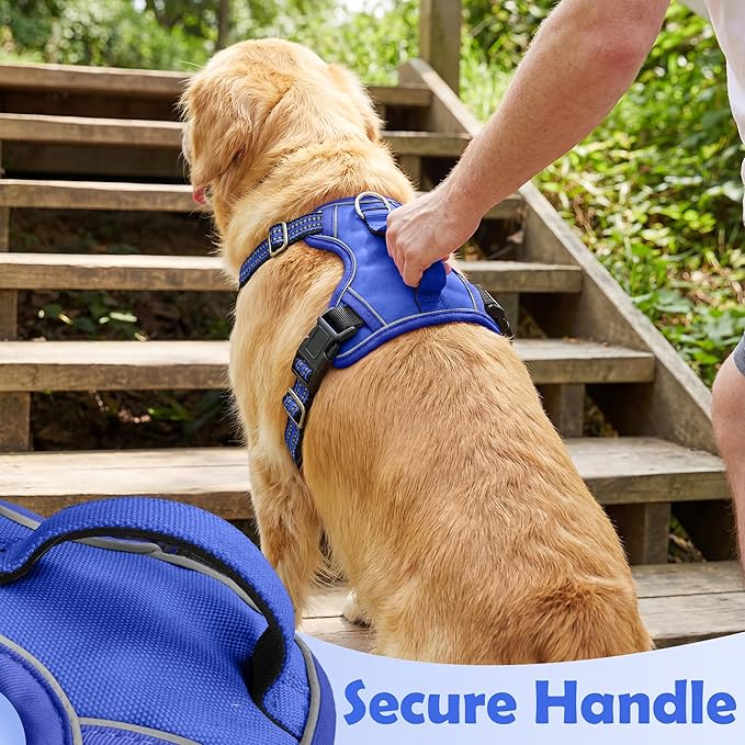 Funfox Dog Harness No Pull, Adjustable Pet Vest Harness, Super Soft Material with Vertical Handle Easy Control, Reflective Night Walking, 2 Leash Clips for Large Dogs, Blue, L