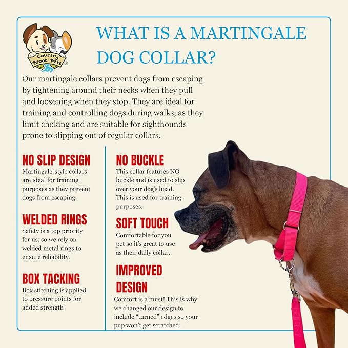 Country Brook Petz - Martingale Dog Collar - Heavy-Duty Training Collar with No Buckle - Service Dog Collar for All Pups - 10+ Warm Colors (Hot Pink, 3/4 Inch, Small)