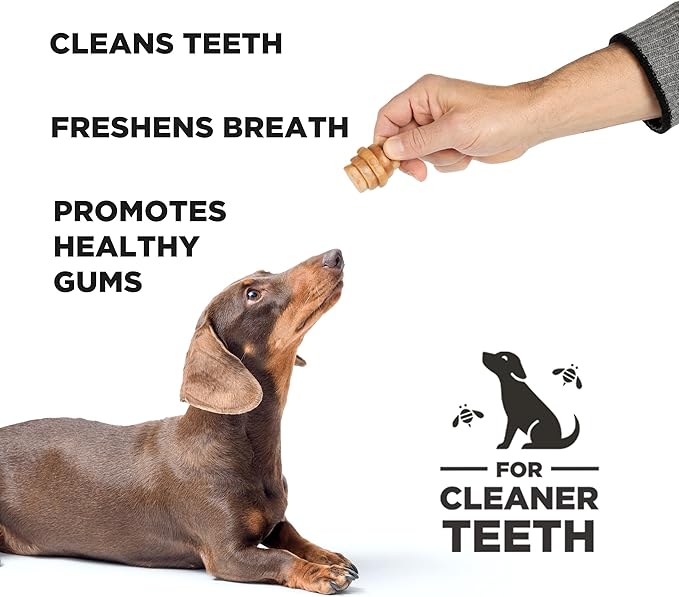Dental Treats for Dogs - Healthy, Non-GMO Project Verified, Natural Peanut Butter Flavored, Natural, Vegetarian Chews, Made in The USA (Hive Chews, Small Breeds) Cleans Teeth and Freshens Breath
