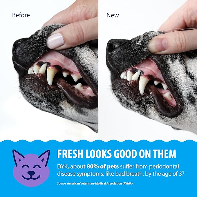 Dental Fresh Original Water Additive for Dogs & Cats, 17 Fl Oz, Daily Teeth & Breath Care