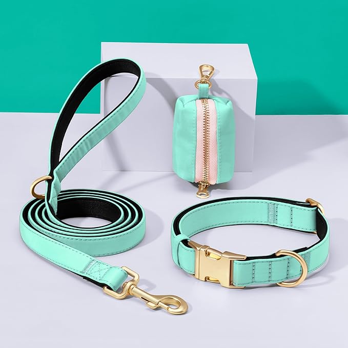 Didog Soft Padded Dog Collars for Small Dogs, Colorful and Durable Dog Collar with Quick Release Buckle, Light and Breathable for Daily Walking, Teal, S