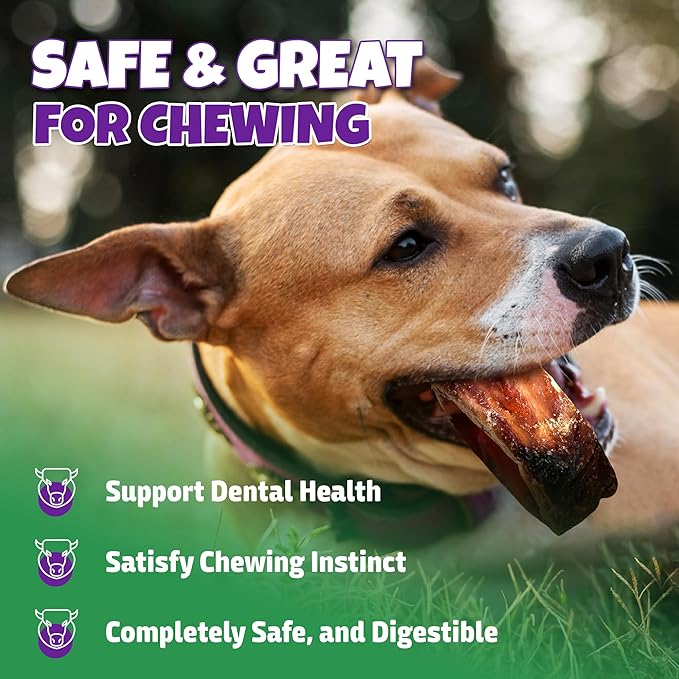 Trachea Dog Chews 15-Pack, 100% Bison Dog Treats, Natural Glucosamine & Chondroitin for Hip and Joint Support, Grain-Free, Rawhide-Free, Low-Fat Trachea for Dogs, 12 oz Bag