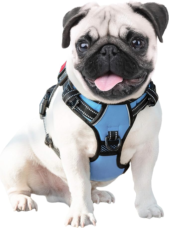 PHOEPET No Pull Dog Harness 3M Reflective Adjustable Vest with a Training Handle, Name ID Pocket, 2 Metal Leash Hooks, 3 Snap Buckles [Easy to Put on & Take Off](XL, Baby Blue)