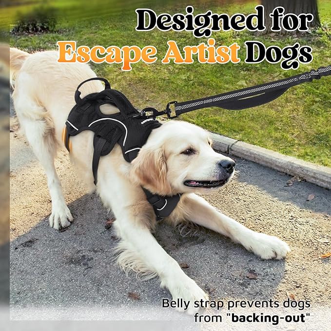 rabbitgoo Escape Proof Dog Harness with Large Handle