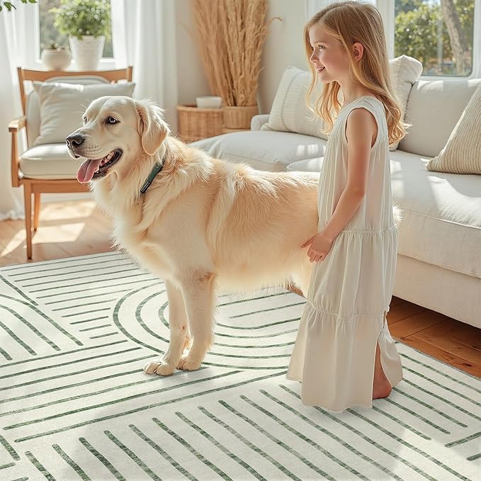 DCX Abstract Machine Washable 6x9 Rug, Sage Green Modern Accent Rug for Living Room, Soft Low Pile Non Slip Carpet, Kid & Pet Friendly Stain Resistant Rug for Bedroom Dining Room Office
