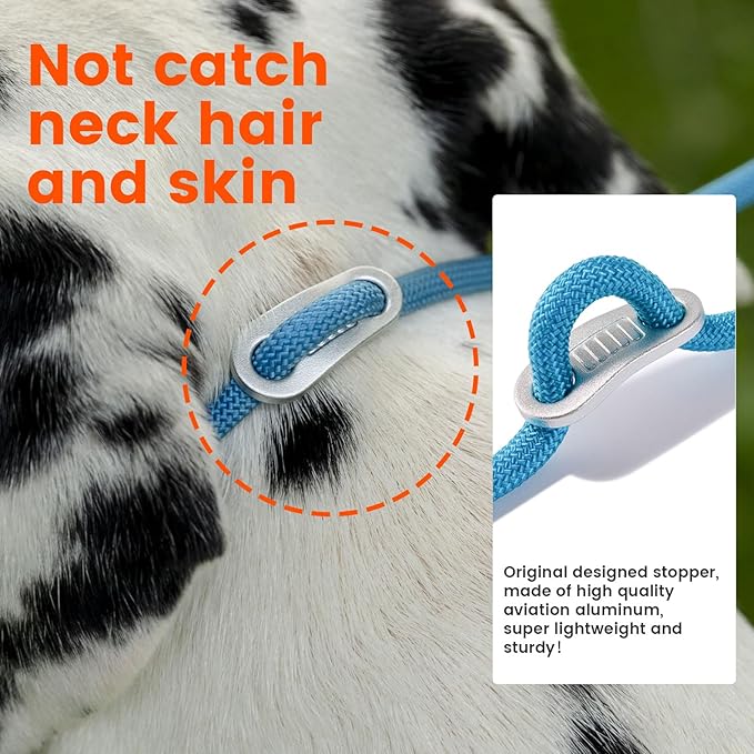 Slip Lead Dog Leash with Double Handles | Reflective Dog Training Leash with 360° Swivel Anti-Tangle | Heavy-Duty Leash and Collar for Large Medium and Small Dogs No-Pull Walking (Mint Green, 5.5FT)