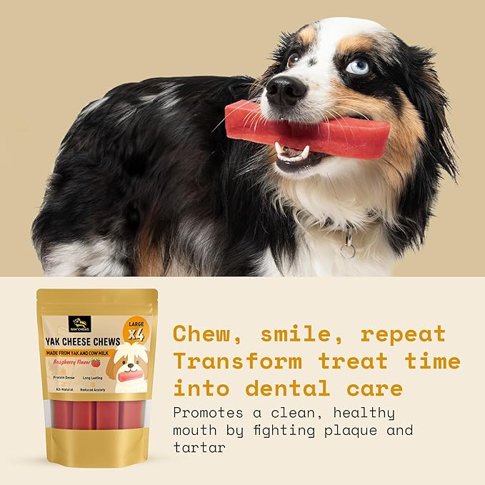 Chews Himalayan Yak Cheese Dog Chews Raspberry Flavor Large - Natural Long Lasting Dental Treat for Large Dogs - High Protein & Calcium - Gluten-Free Lactose-Free - 3-3.5 oz (4 Pack)