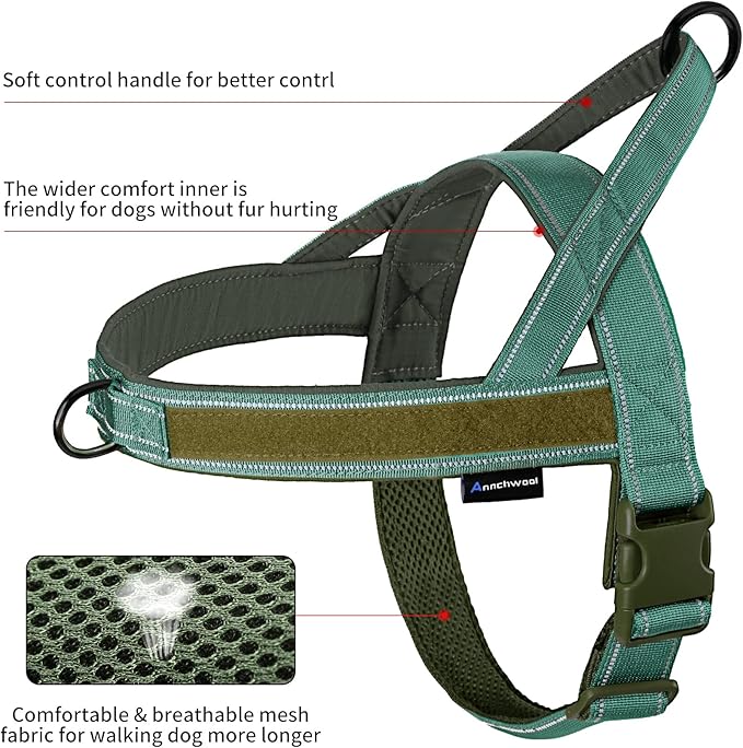 Annchwool No Pull Dog Harness with Padded Handle+5 Ft Leash,Reflective Strip Escape Proof and Quick Fit to Adjust Dog Harness,Easy for Training Walking for Small & Medium and Large Dogs(Green-Set,XL)