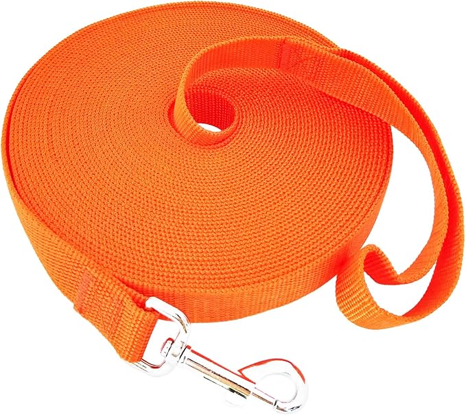SALO Nylon Training Dog Leash for Small Medium Large Dogs, 3/4 Inch Wide, 20ft 30ft 40ft 50ft Long Leash Dog/Puppy Lead for Obedience Recall Training, Camping, or Backyard